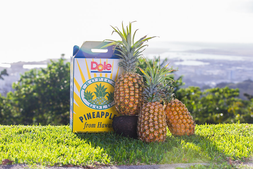 Hawaii Pineapples - Shipped to the Mainland US - 10 lbs 