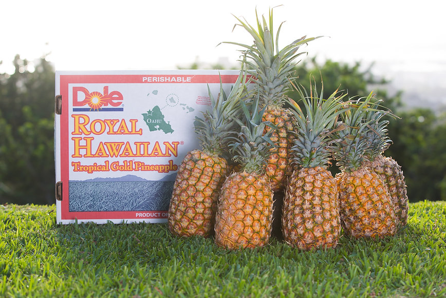 Hawaii Pineapples - Shipped to the Mainland US 